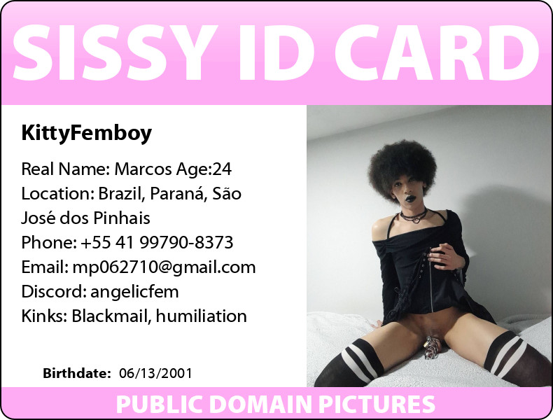 KityyFemboyy – [RISK] Full info and id exposed