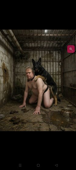 Sissy c*nt being bummed by my boy 🐕 🔐 inside the dog run hahaha