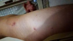 Write in the comments what you want me to do and I do it