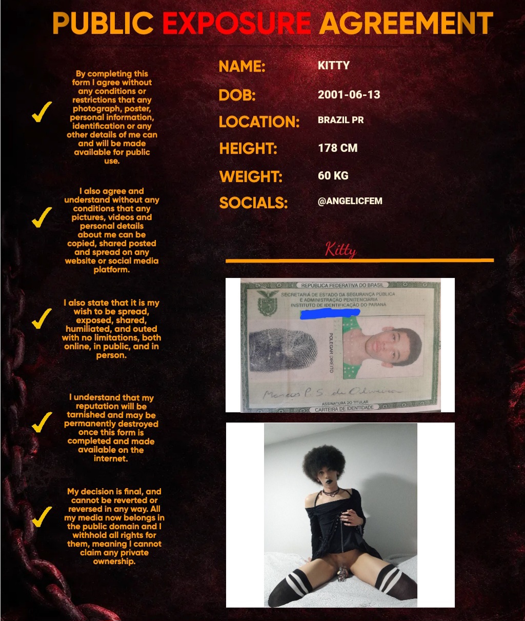 KityyFemboyy – [RISK] Full info and id exposed