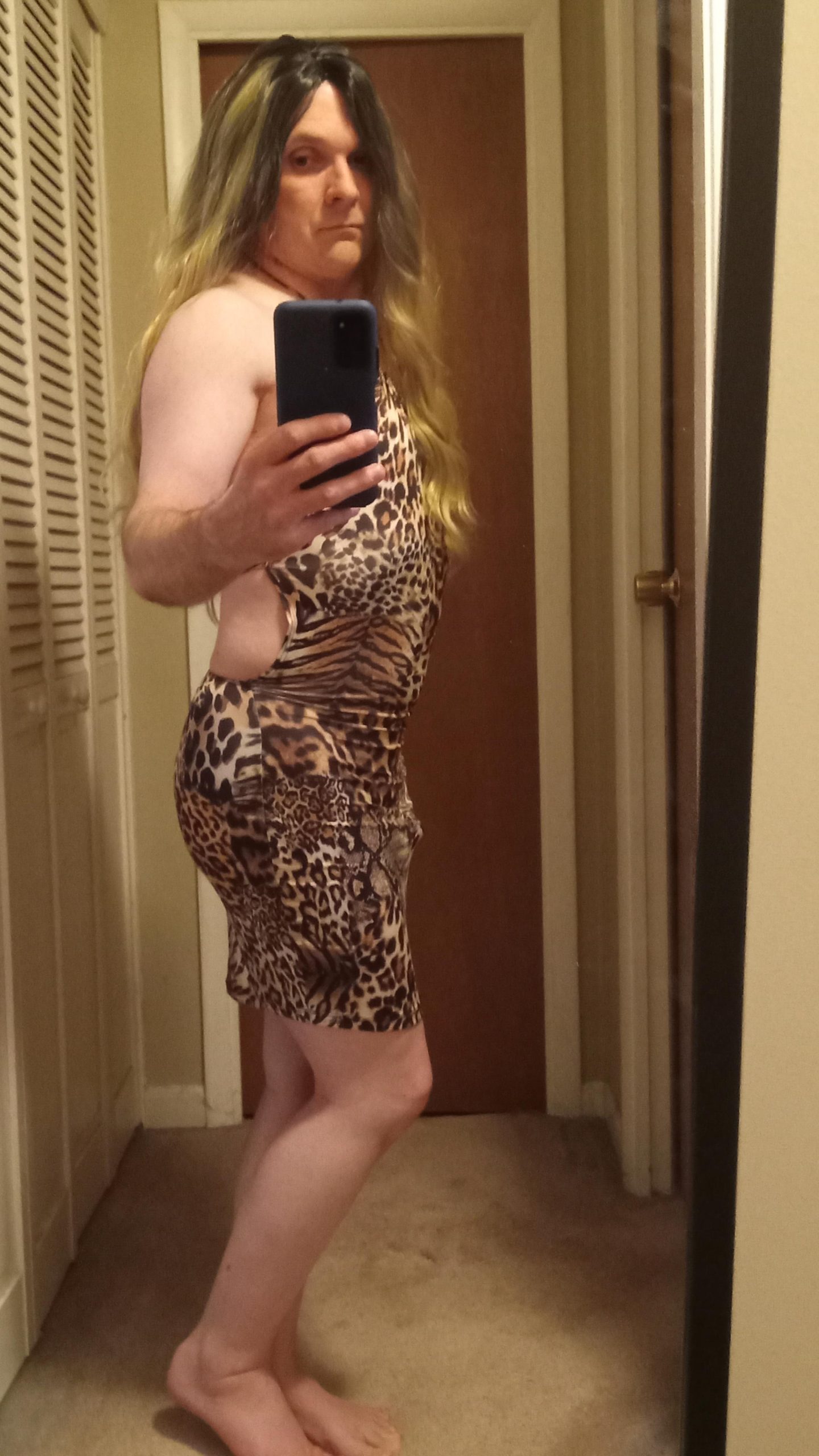 Animal Print Dress