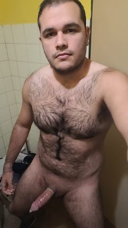 bear hairy…