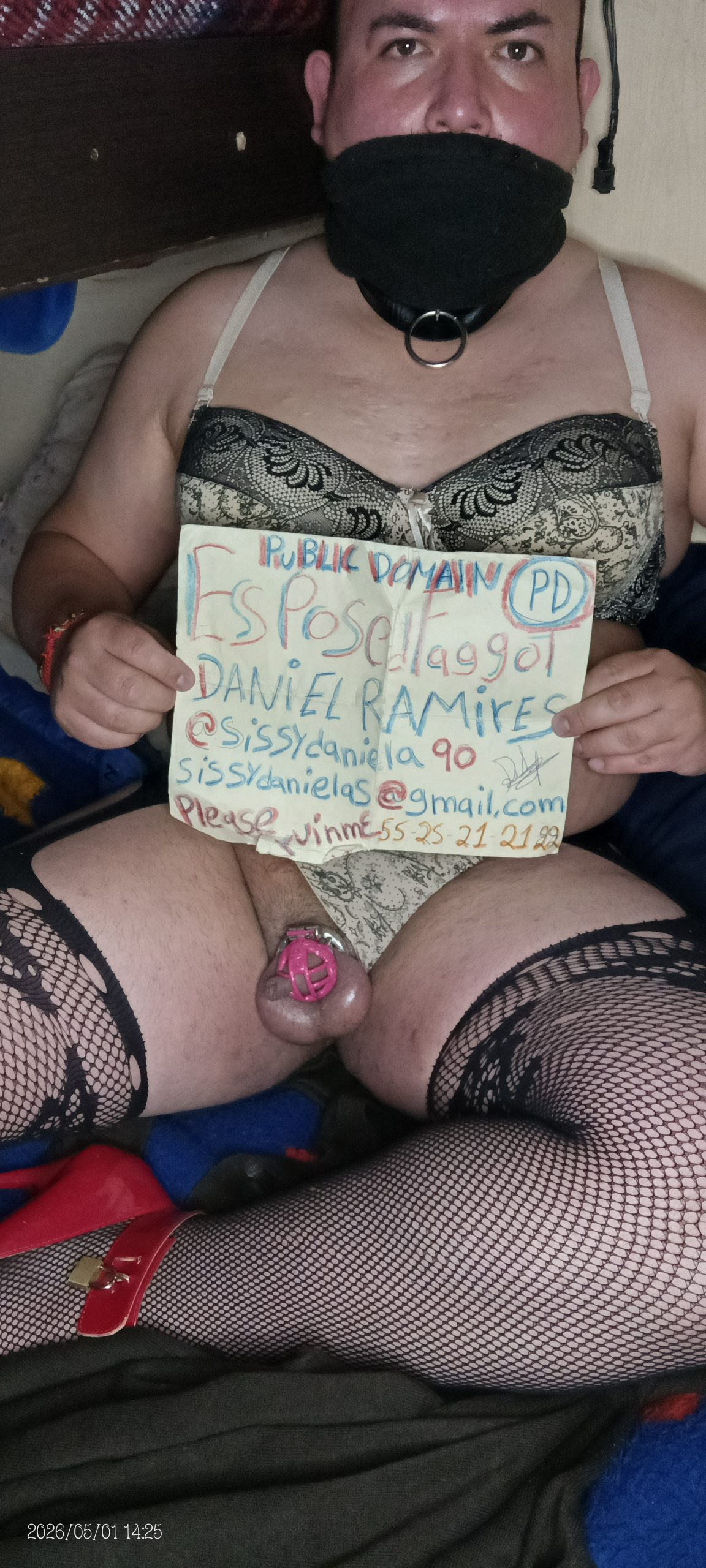 stupid f*ggot  sissydaniela