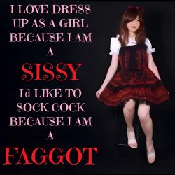 A fem sissy f*ggot
