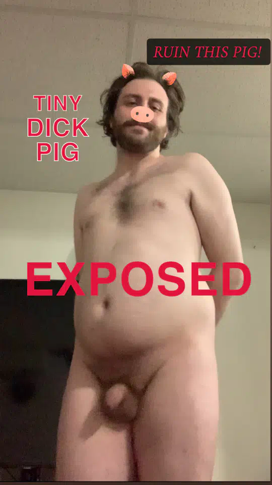 EXPOSED PIG! PLEASE HUMILIATE AND DEGRADE ME! PHONE # REVEAL AT 50