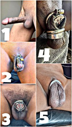 chastity