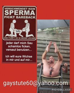 Deutsche Schwanzgeile Stute