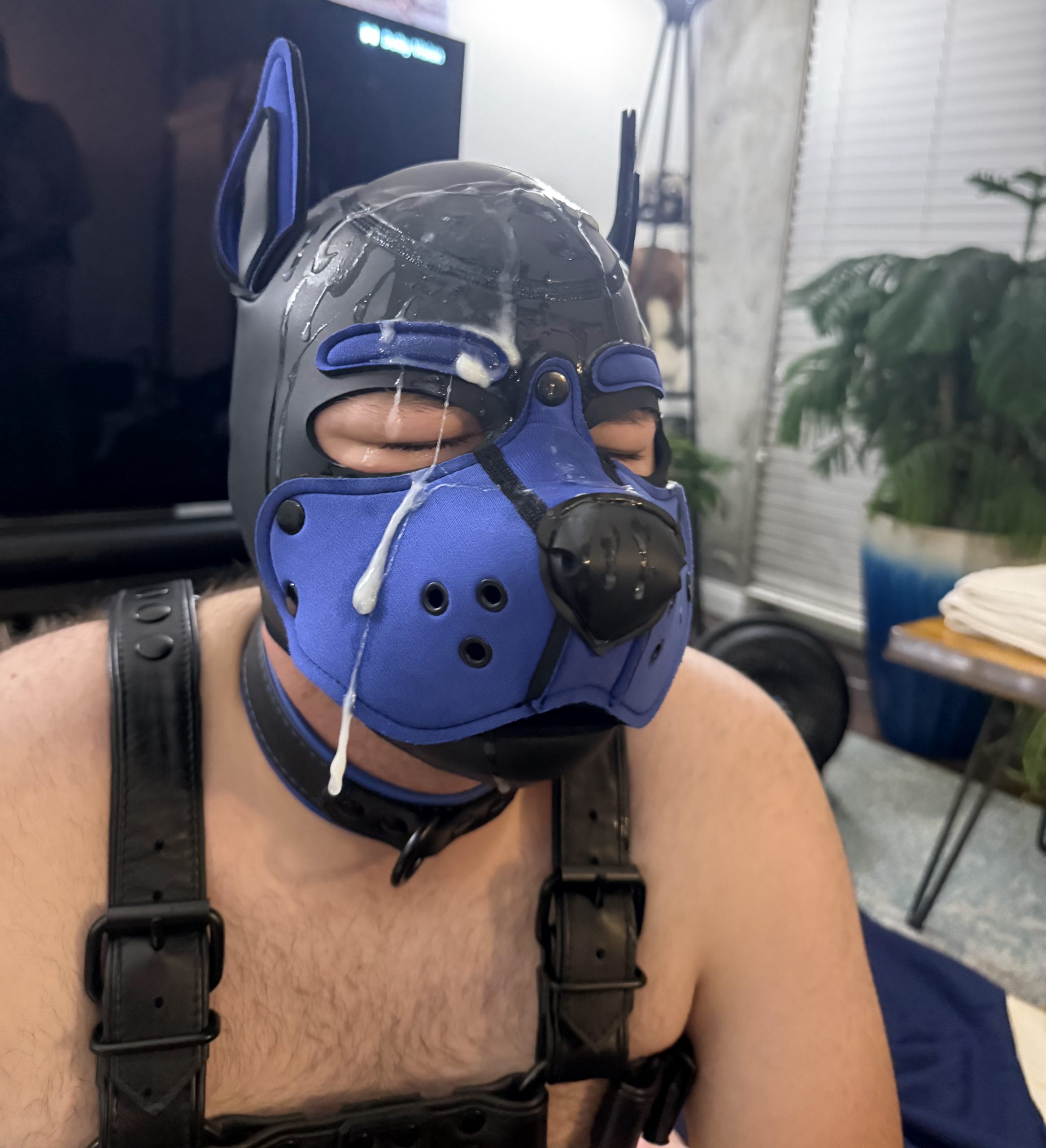 Begging for attention