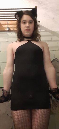 Sissy f*ggot who loves humiliation, insults and blackmail
