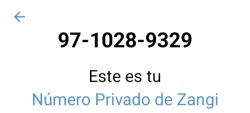 Zangi f*g
