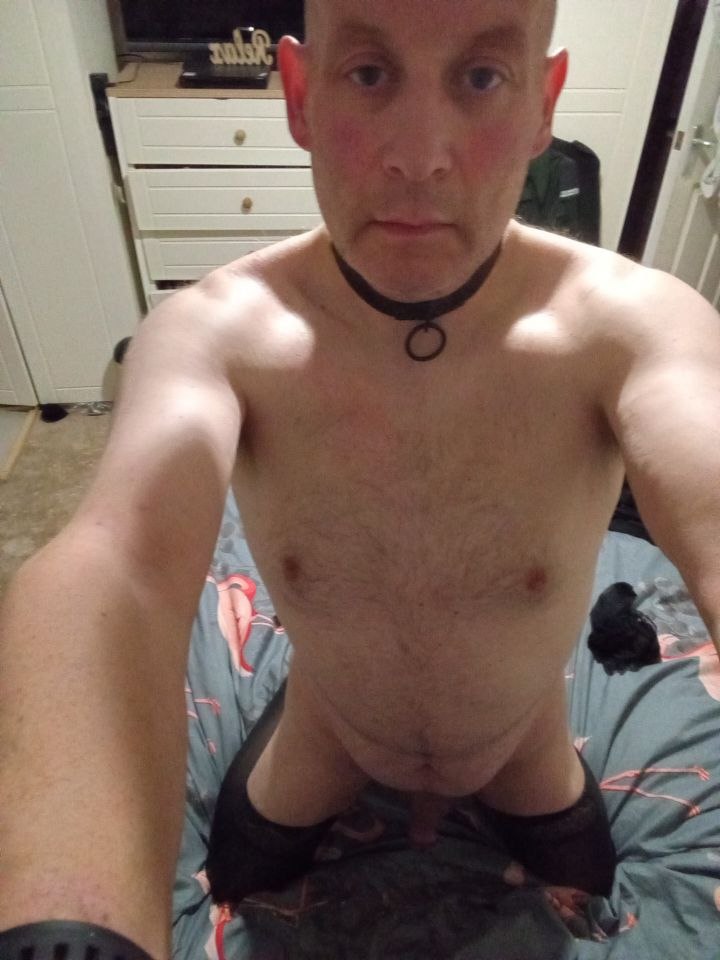 ~ Owned by superior