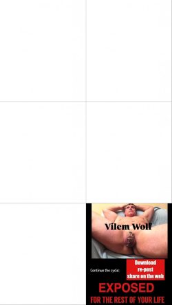 ZMRD VILEM