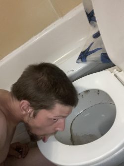 Worthless 29yr old f*ggot fucktoy for any and all alphas amusement