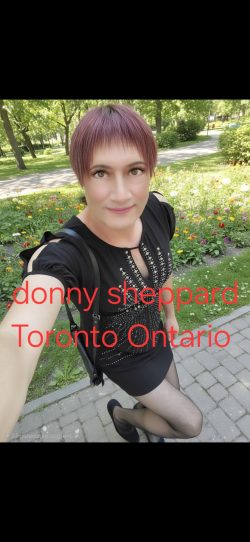 Toronto sissyboy