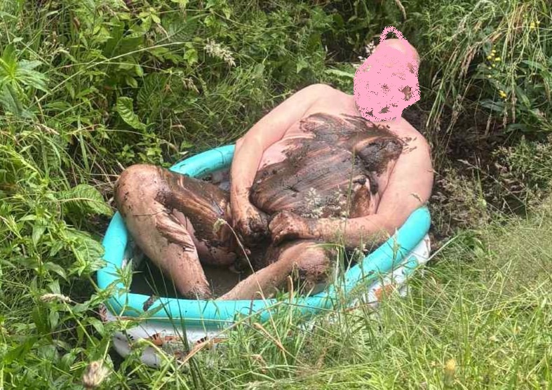Dirty piggy!