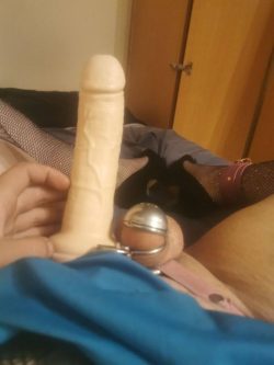 Tha caged clit of sissycamren