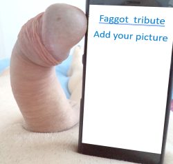 tribute for you