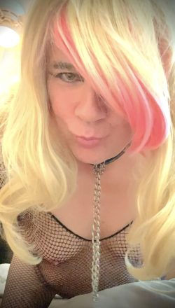 South Carolina Sissy f*g