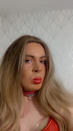 Sissy Chloe (Aidan) risk