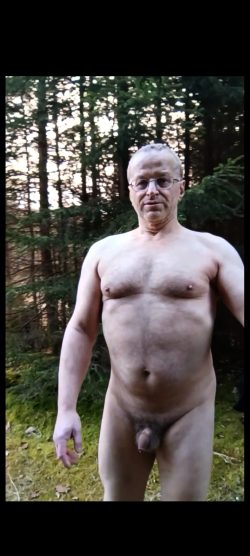 Im Wald