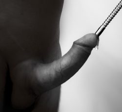Slide it in