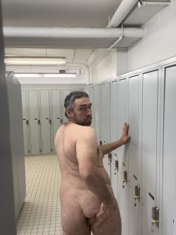 Pig seeking bully