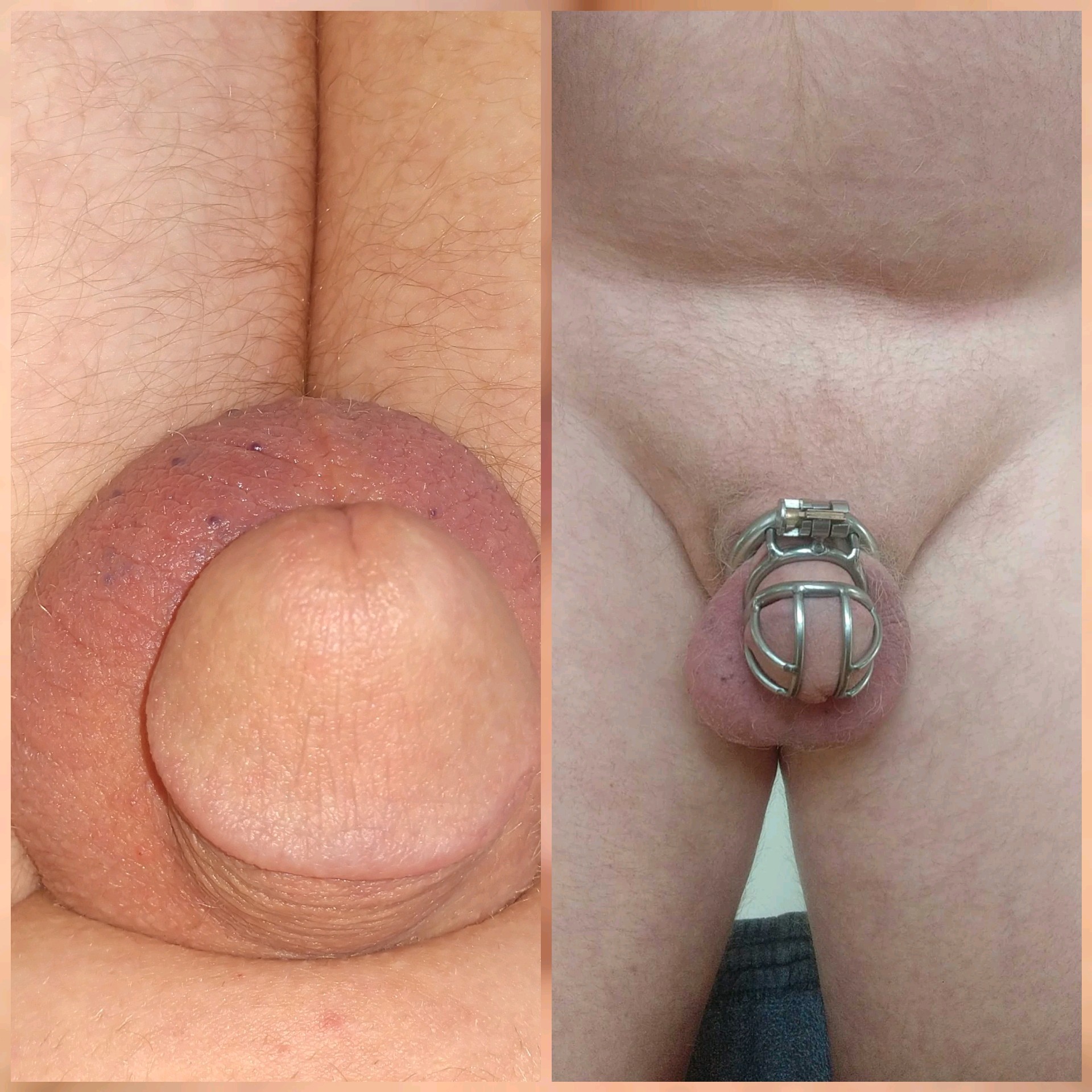 f*g in chastity needs hard cock