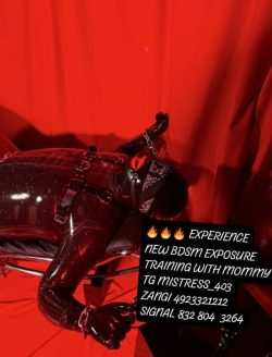 EXPERIENCE DOM SEEKING FOR SUBMISSIVE SLAVE TO OWN