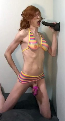 Everybody Knows this Sissy is A sl*t
