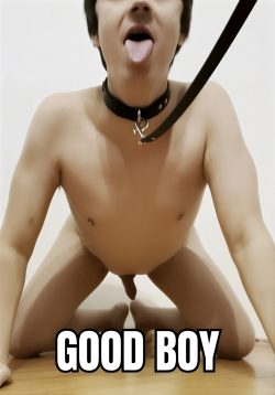 good boy