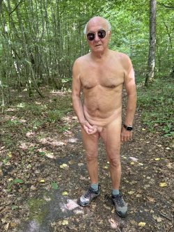 dans les bois