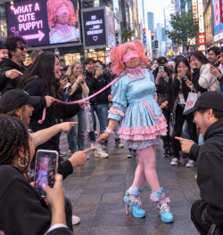 Paraded through the streets