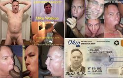 Cocksucker collage for collecting!