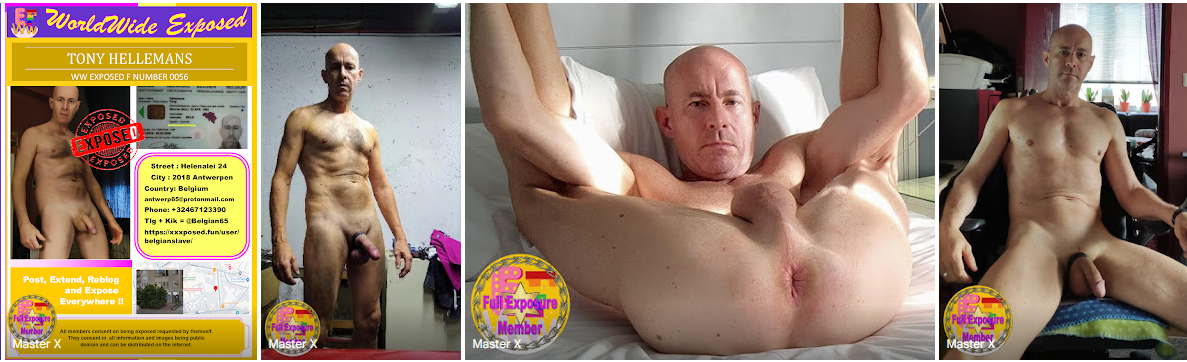 Tony Hellemans nude
