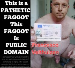 Public domain