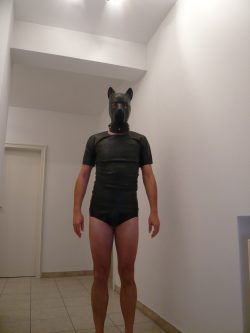 joerg sklave – slave joerg is a dog